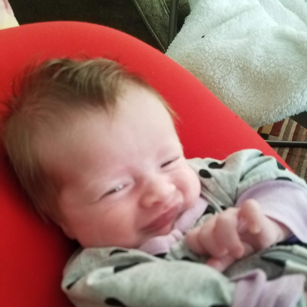 Introducing Scarlet - Picture 5 of 5